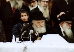 לקראת י"ב-י"ג תמוז: מאמרים בפרסום ראשון